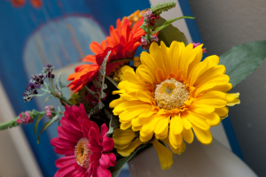 workshops, classes and retreats
